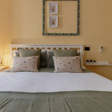 Apartamento Domus Botanica Loft 2 Passi Dalla Stazione/centro Domodossola